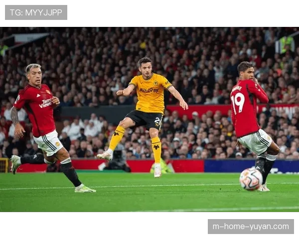 曼联本赛季多次遭遇不利判罚 布伦特福德狼队战均存争议 曼联本赛季多次遭遇不利判罚 布伦特福德狼队战均存争议